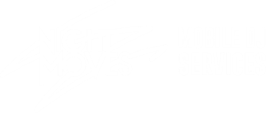 Logo | Night Moves